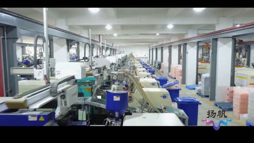 生態科技新城 組建專班精準服務，扶持企業做大做強信息技術咨詢服務